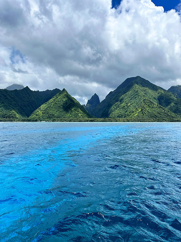 Fenua Aihere : Terre sauvage Fenua Aihere : Terre sauvage
