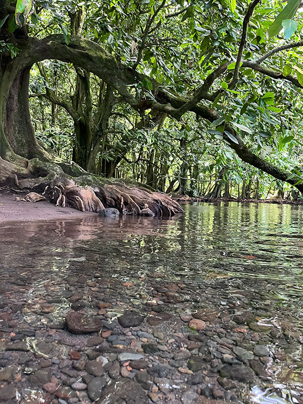la Rivière Vaipoiri la Rivière Vaipoiri