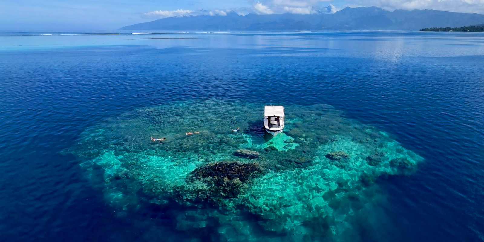 Snorkeling sur les patates de corail